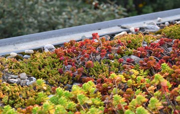 the cost of Noak Bridge green roof installation