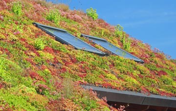 Noak Bridge living roof systems